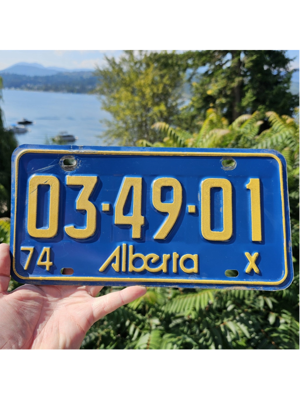 1974 Alberta Restricted X License Plate 03-49-01 Vintage Canada Collector